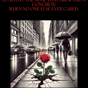 "CONCRETE ROSE"