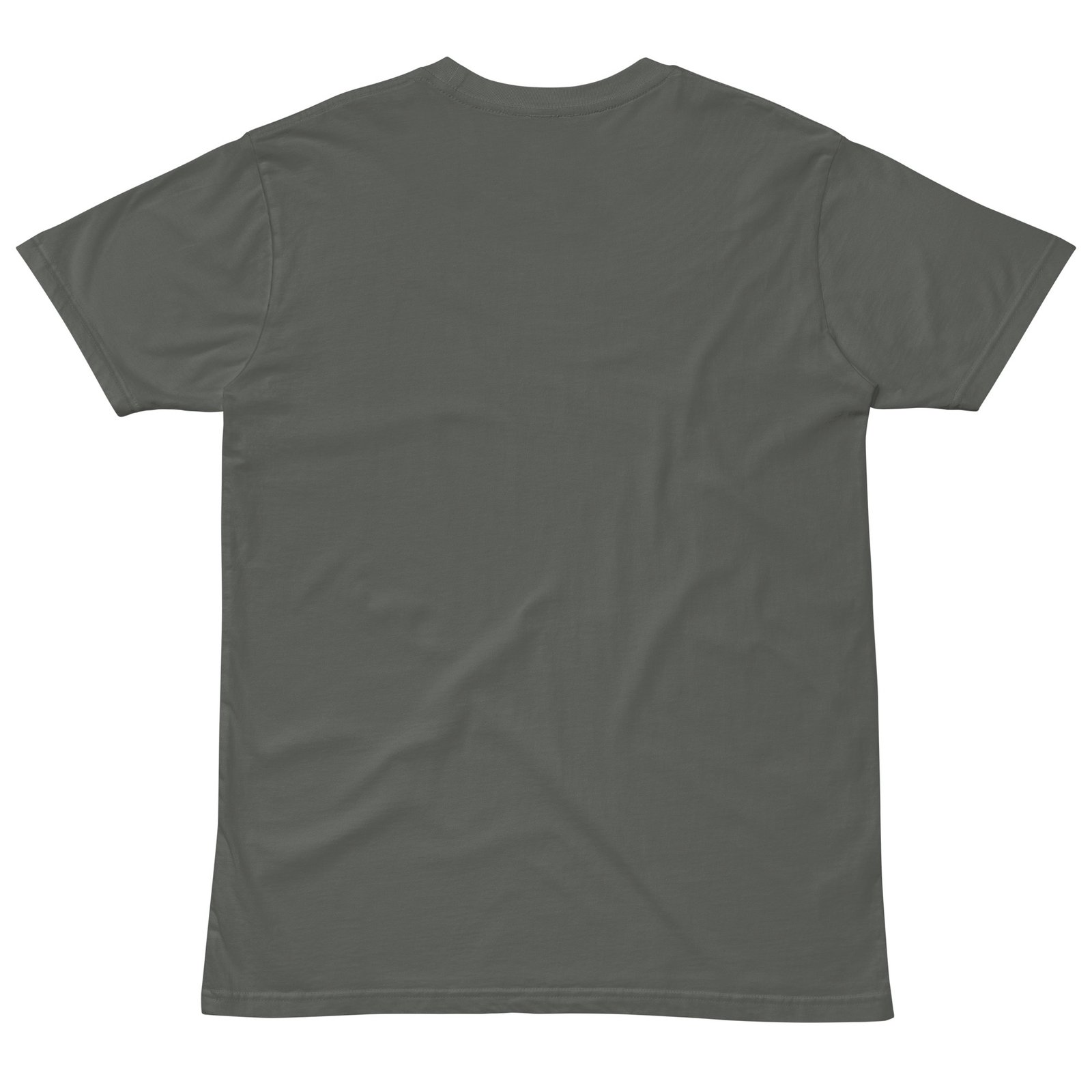 unisex-premium-t-shirt-charcoal-back-6a2cf2ed92fd2.jpg